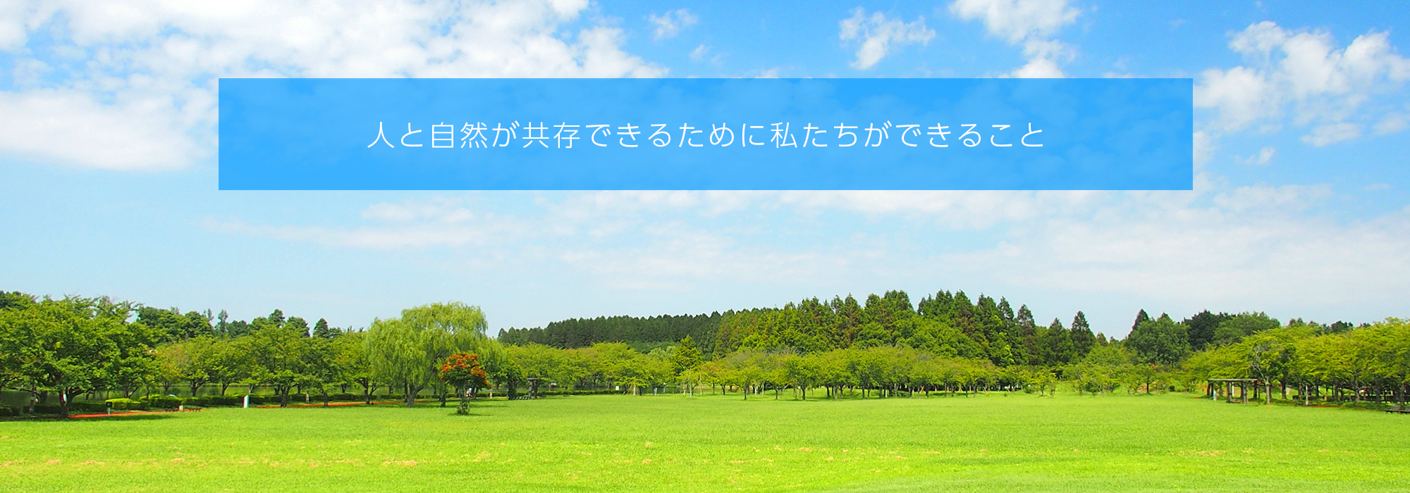 人と自然が共存できるために 私たちができること